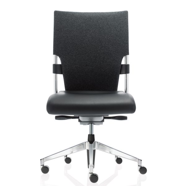 Drive Office Chair, Swivel Office Chairs, Brunner