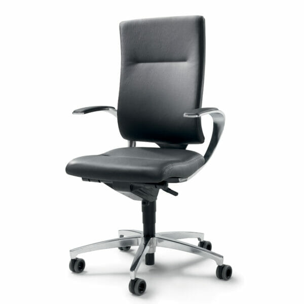 In Touch Office Chair, Dauphin, Task Chair