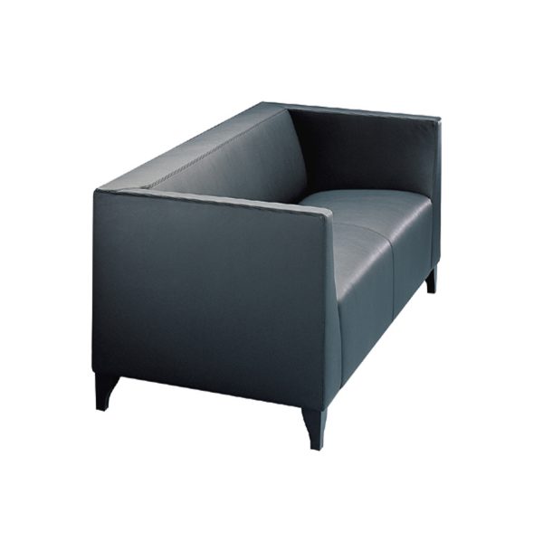 Theba Lounge Chair and Sofa,office lounge seating,wiesner hager